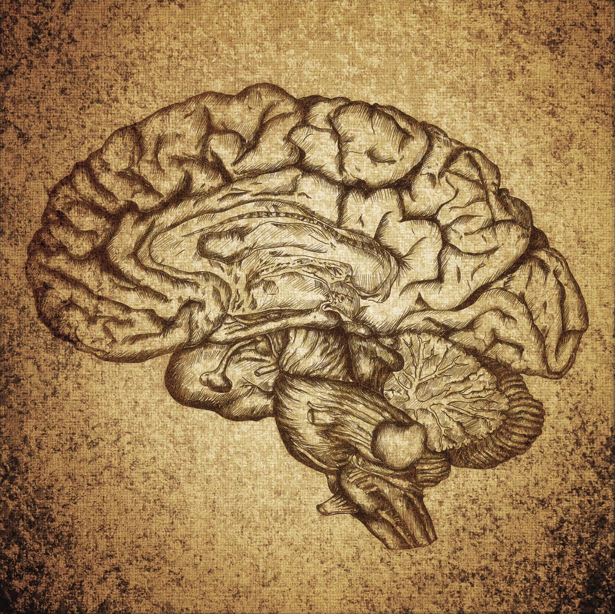 The Psychology and Science Behind Learning